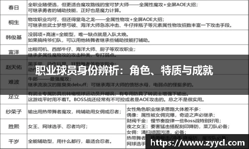 职业球员身份辨析：角色、特质与成就